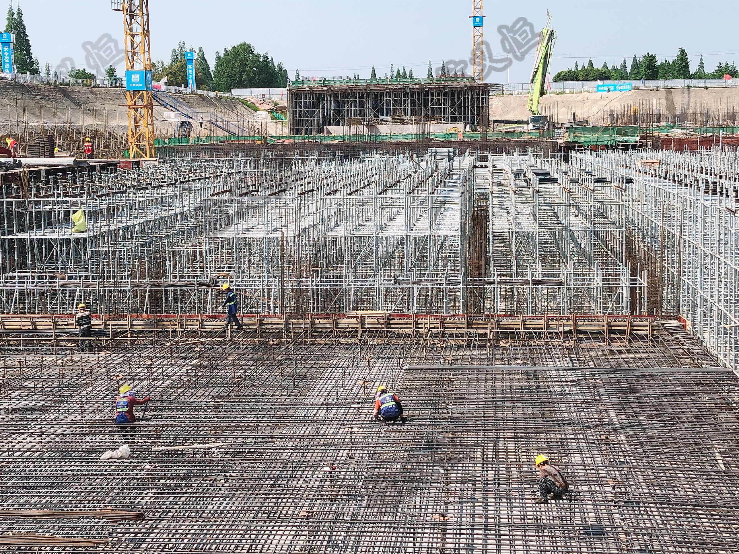 �������ˮ������Ŀ����